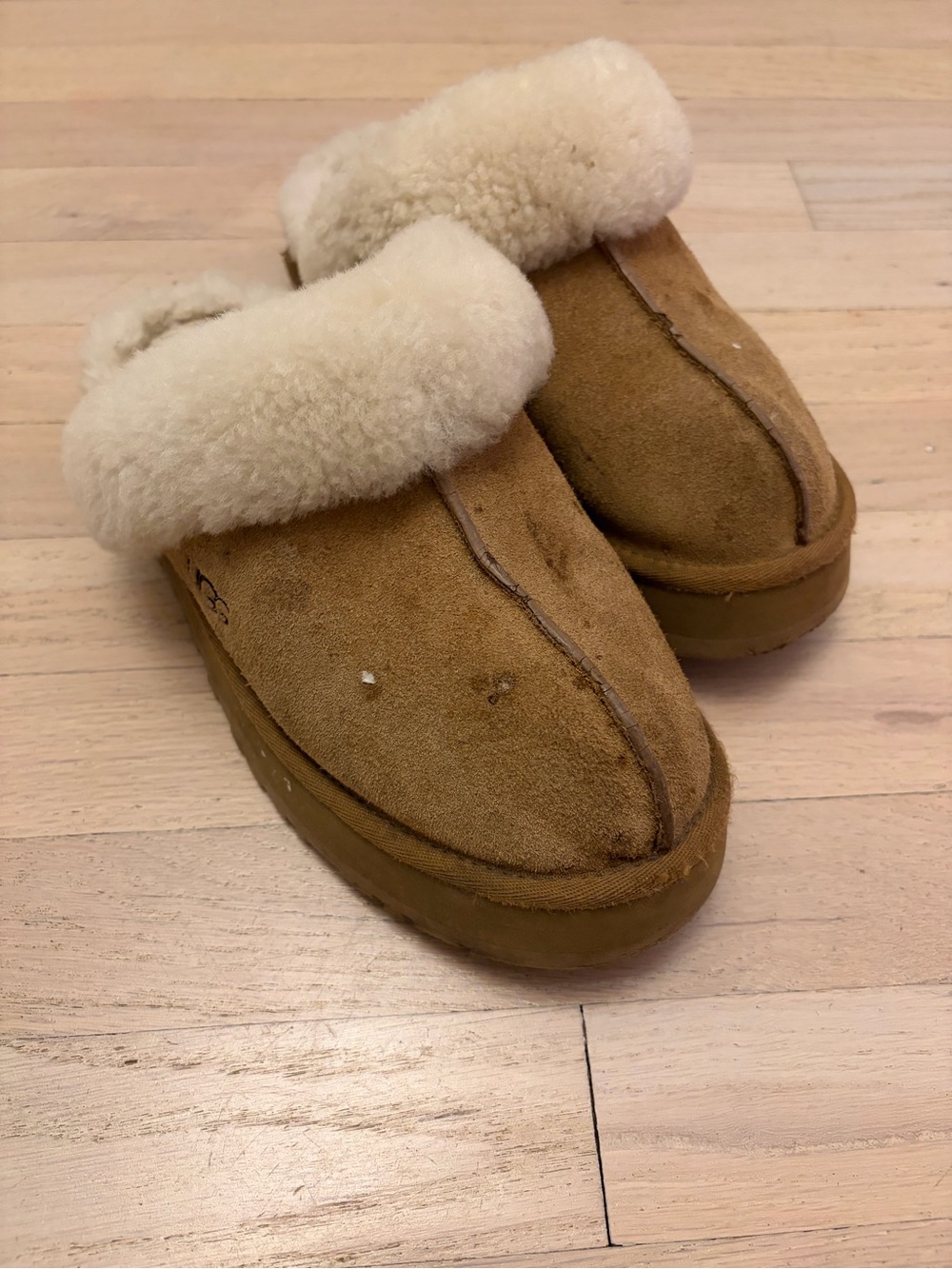 UGG Platform Slippers in Chestnut